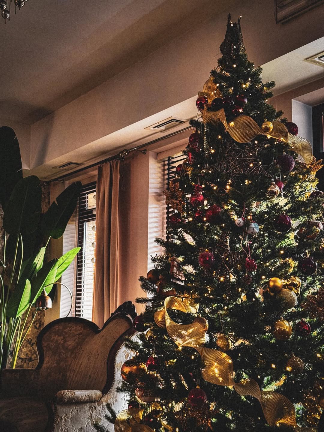 Choinka w Ambasadorze